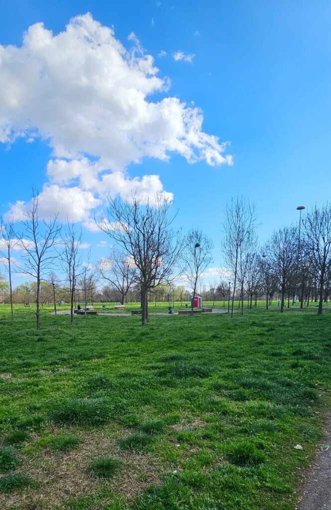 WhatsApp Image 2026 04 15 at 14.44.37 Ofpassion